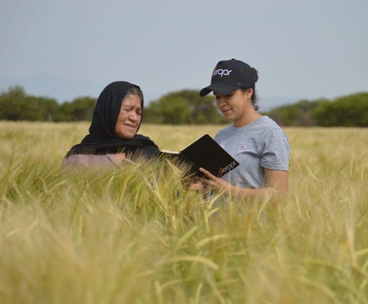 Farmer Training, Engagement & Support