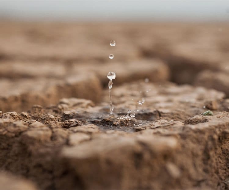 Watershed Conservation and Stewardship