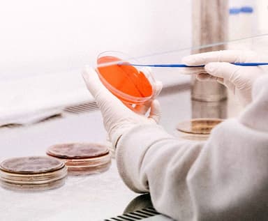 Personal Care and Hygiene