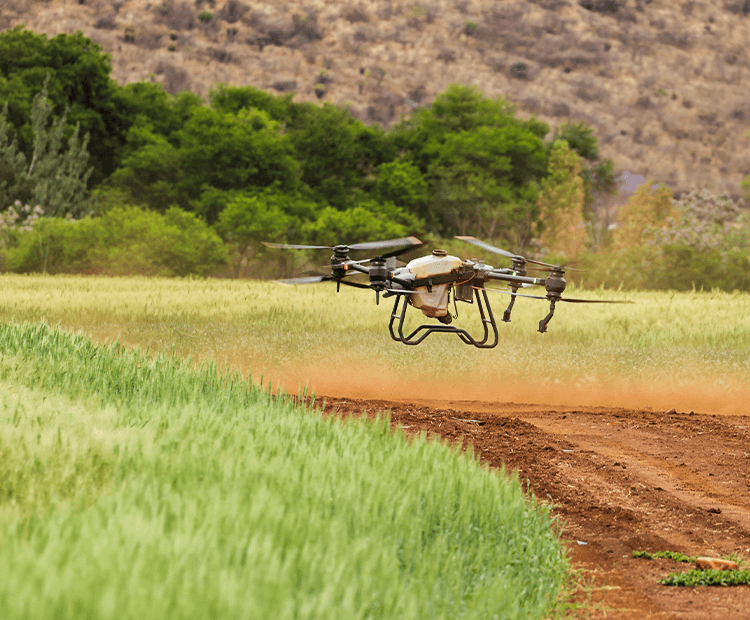 Resilient Production Systems & Regenerative Agriculture