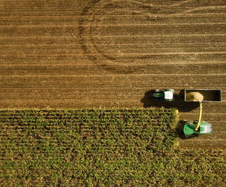 Sustainable Agriculture