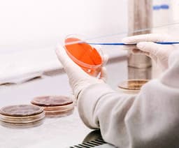 Personal Care and Hygiene