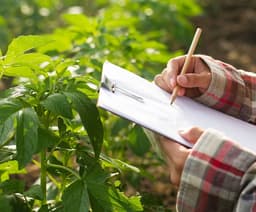 Crop Quality & Productivity & Carbon Capture