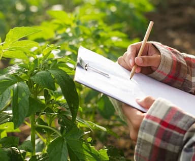 Crop Quality & Productivity & Carbon Capture