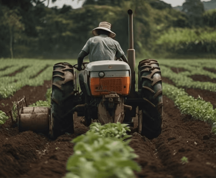 Carbon Reduction, Capture & Removal