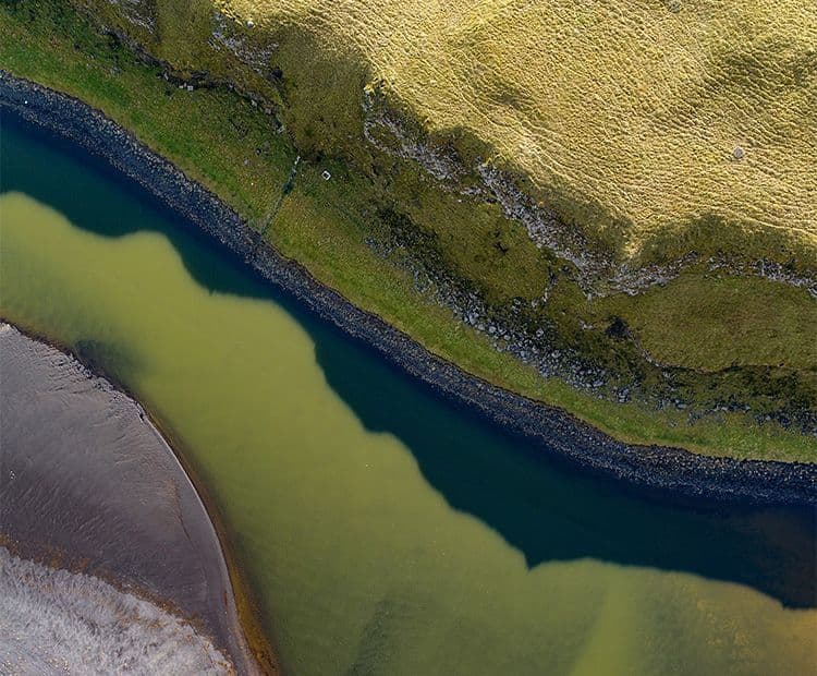 Nature & Biodiversity