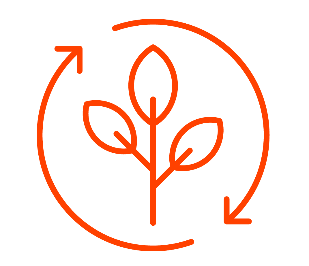 Biodiversity Enhancement in Agriculture and Nature-Based Projects
